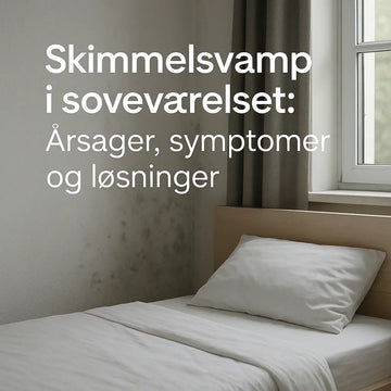 Skimmelsvamp i soveværelset: Årsager, symptomer og løsninger MiljøLab ApS